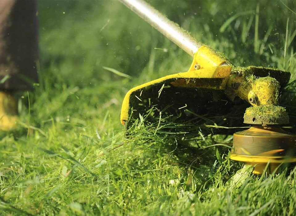 The massive difference between lawn care and lawn maintenance