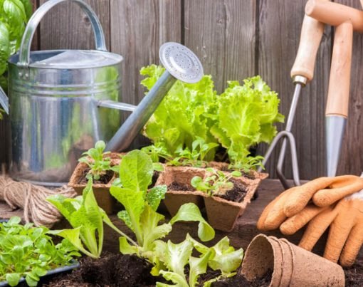 gardening write for us