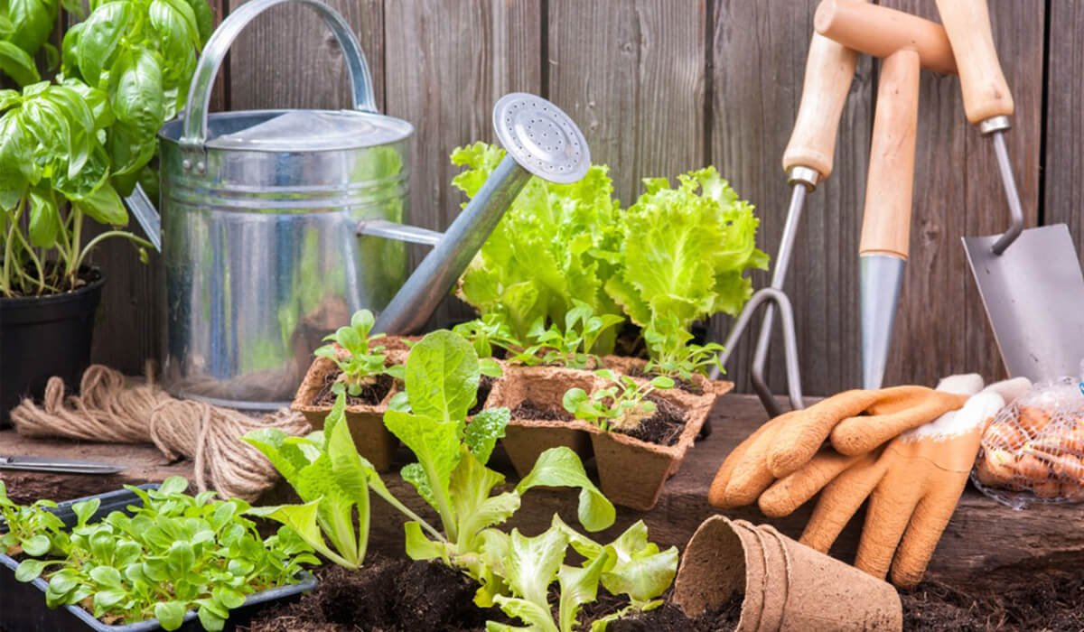 gardening write for us