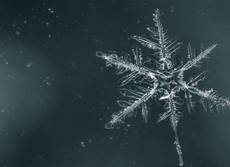 snowflake test