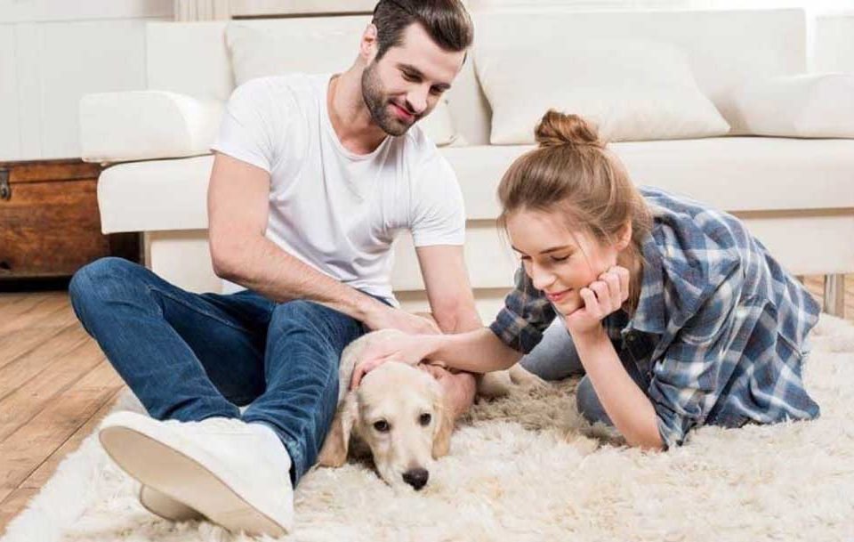 First-Time-Dog-Owners