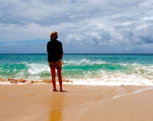 A Guide To Vegan Travel Blogs