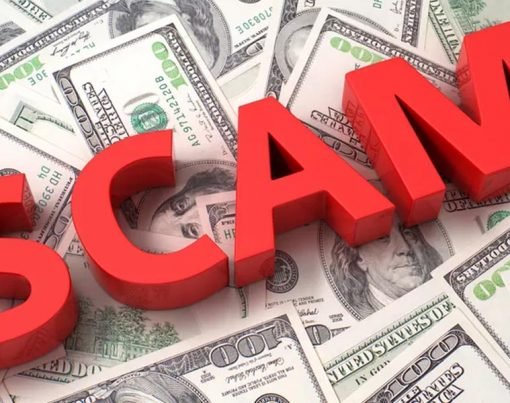 A Guideline to Forex Scams