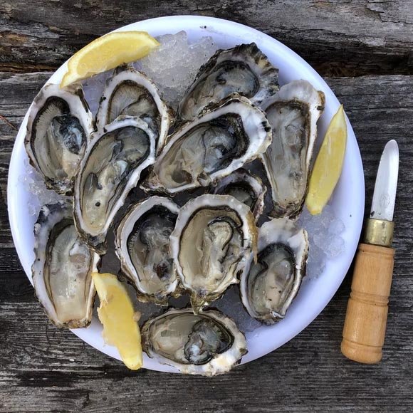 Get Your Freshest Oysters Here