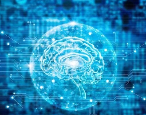 Complete Noopept Guide