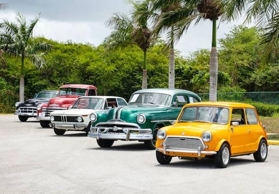 Reasons to Invest in Cars (With Financial Tips on Doing it)-2