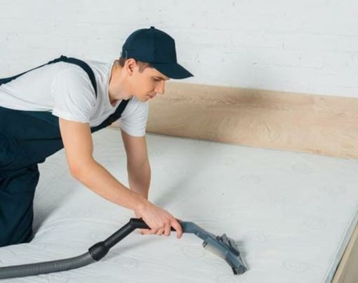 How To Find The Best Bed Bug Exterminator Near You