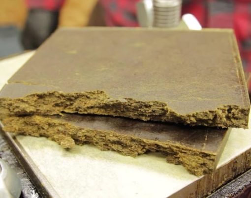 Everything You Ever Needed To Know About Hash