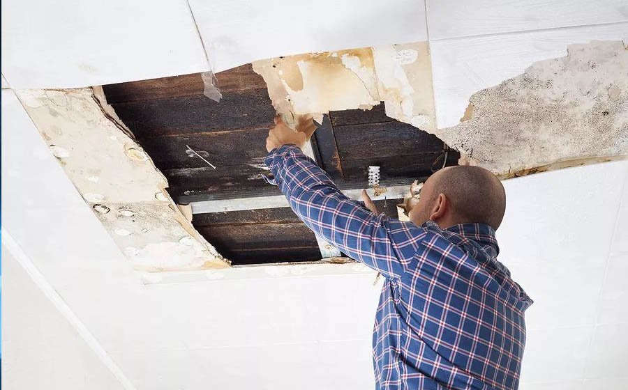 What Do Termites Damage in Ceiling Look Like