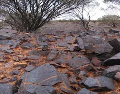 Global Vanadium Ore Market Trends