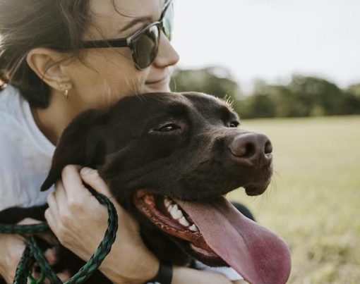 The Best Ways to Refill your Pet’s Prescription Medicines