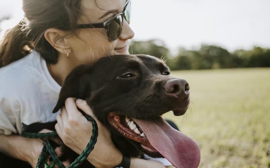 The Best Ways to Refill your Pet’s Prescription Medicines