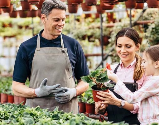 Structuring Family Businesses to Protect Against Divorce and Separation