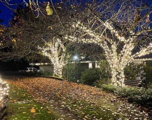 How to Choose the Best Party Lights Hire To Brighten Up Your Christmas Event