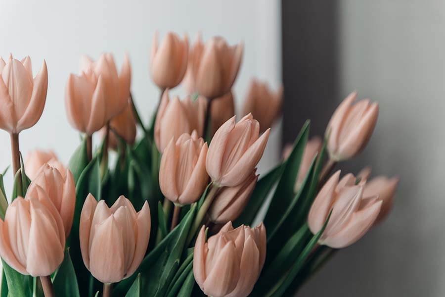 valentine-s-day-or-mothers-day-flowers-apricot-col