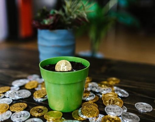 5 SEO Strategies to Help Your Crypto Website Rank Higher on Google