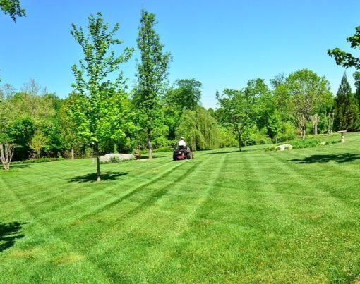 How Often Should You Edge Your Lawn-1