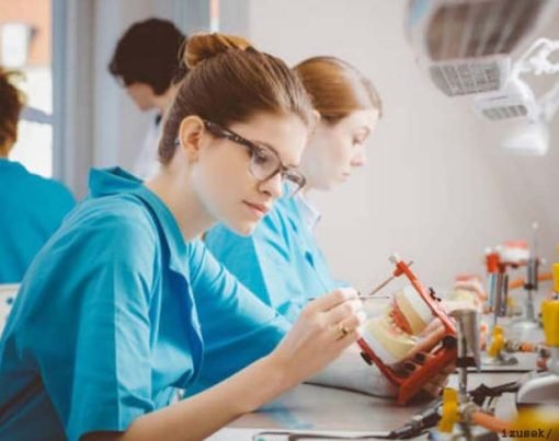 Perfect Dental Laboratory Partner