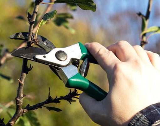 Pruning Secrets