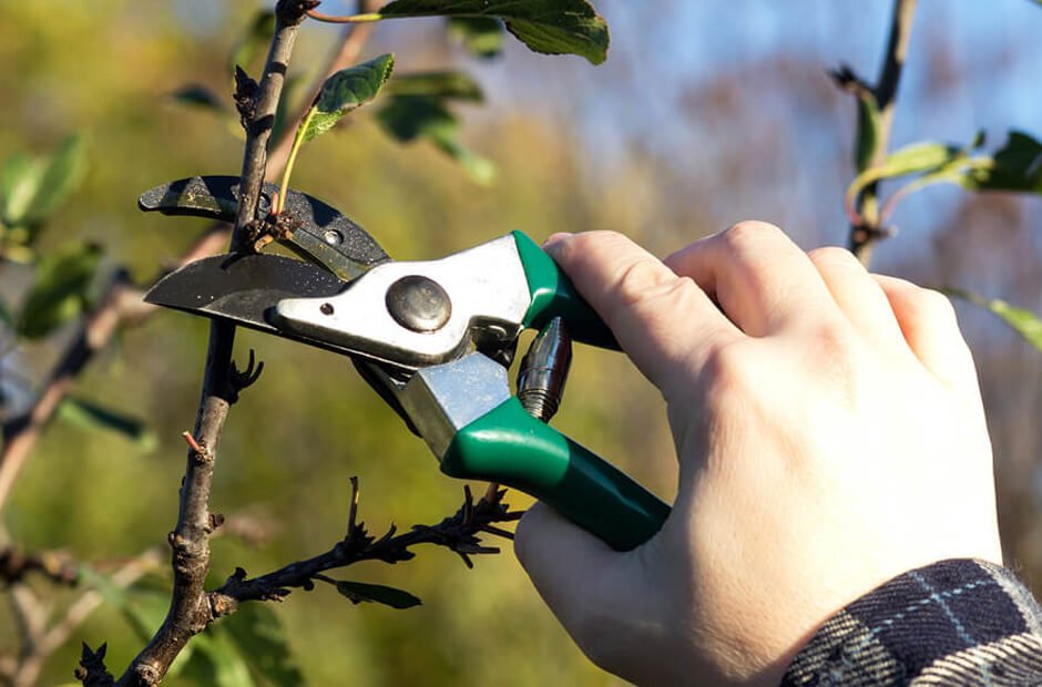 Pruning Secrets