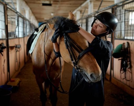 The Importance of Proper Nutrition for Horses 1