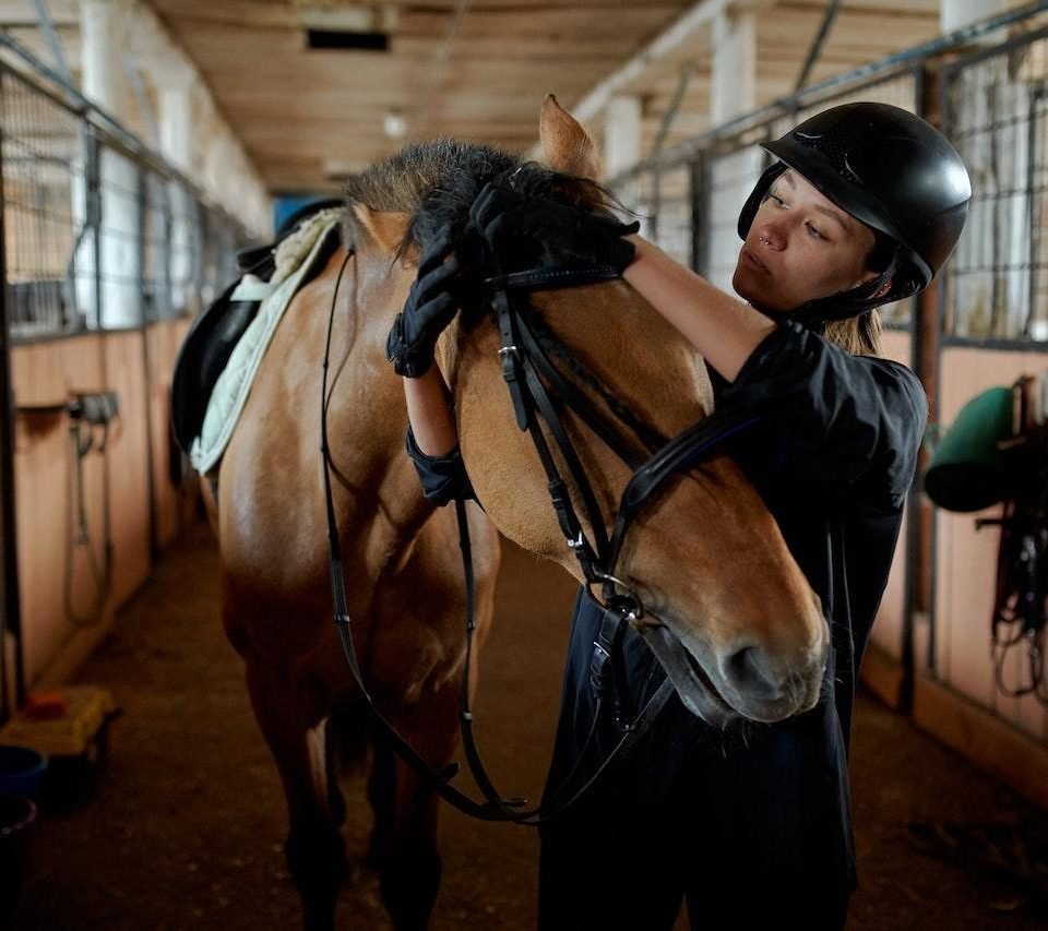 The Importance of Proper Nutrition for Horses 1