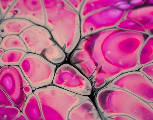 Understanding the Role of NAD in the Body