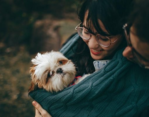 Essential Nutrition Tips for Your Furry Friend