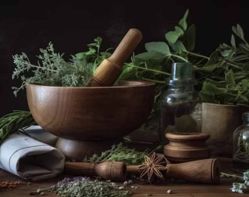 From Herbal Remedies to Modern Medicine