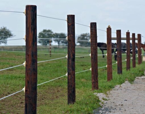 Wondering about Agricultural Fencing