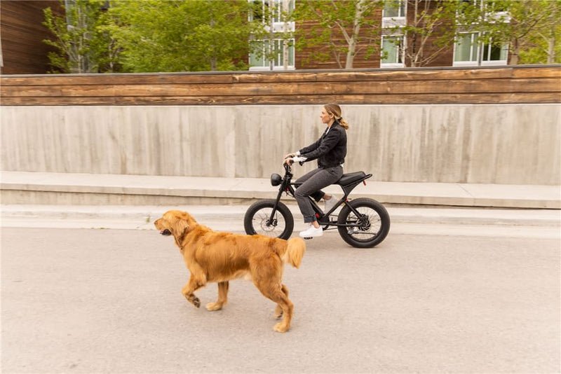 The Rise of the Electric Bicycle An Environmentally Friendly Alternative to Commuting