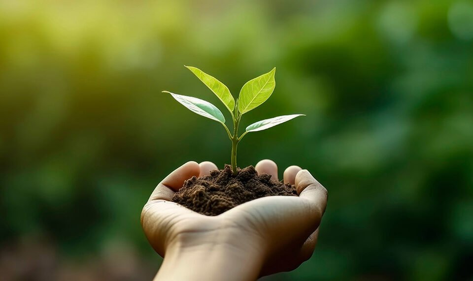 A powerful image depicting a young hand holding a plant against a backdrop of vibrant green nature, symbolizing the green revolution and eco-friendliness