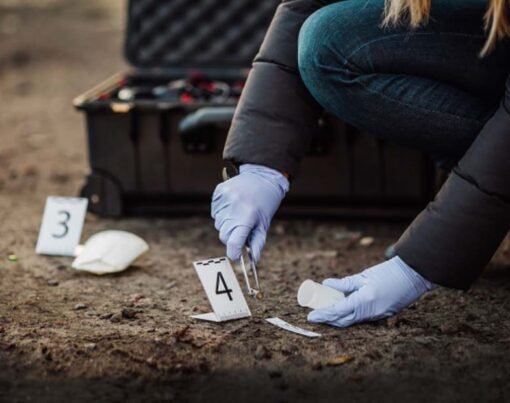 The Science of Bullets