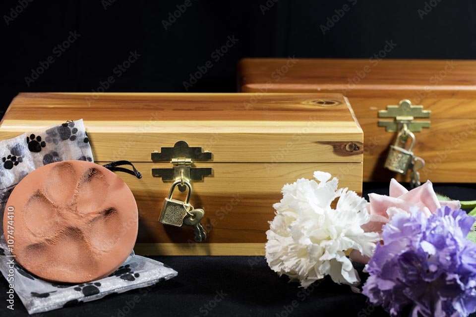 3 Facts to Know About Cremation for Pets