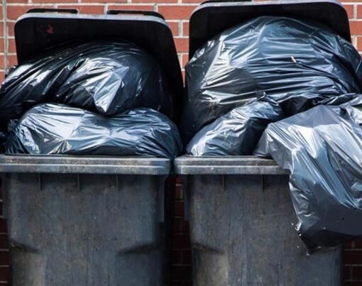 Dumpster or Debris Bag