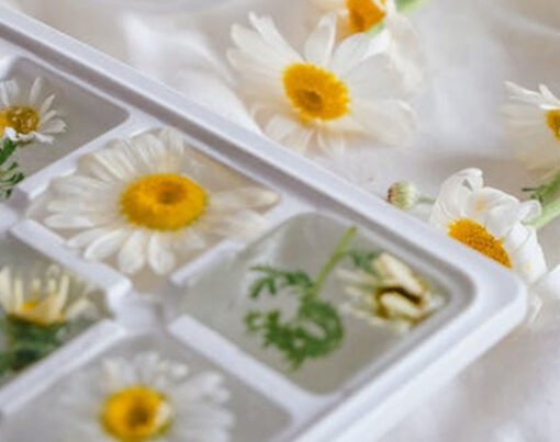 How To Upgrade Your Beverage Game With Ice Cube Tray 2