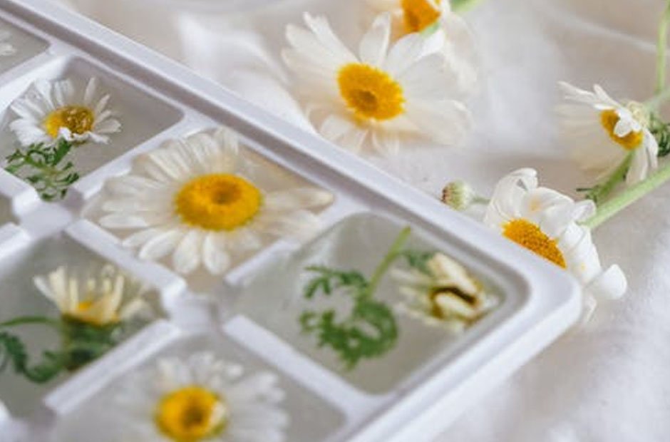 How To Upgrade Your Beverage Game With Ice Cube Tray 2