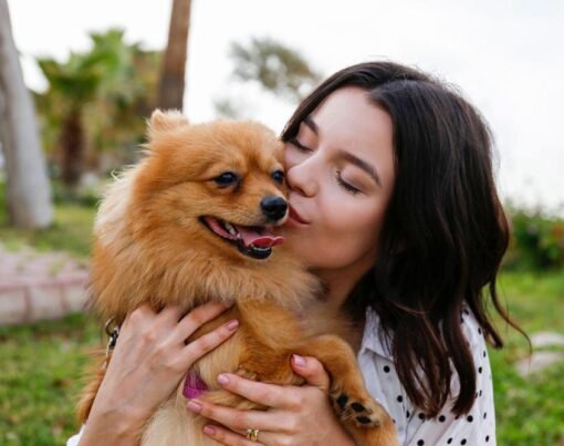 Can an Emotional Support Animal Go Anywhere