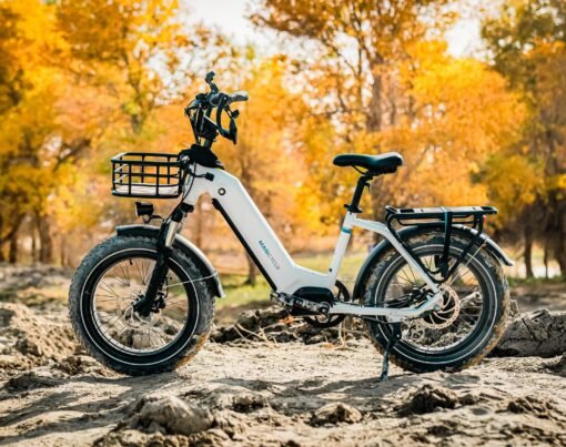 How Do I Maximize Savings During Ebike Black Friday 2023