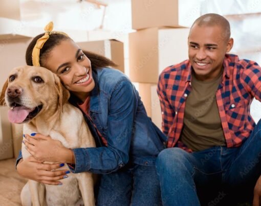 How To Move With Pets and Children