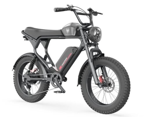 Unleashing the Power of Off-Road Electric Bikes and Electric Commuter Bikes