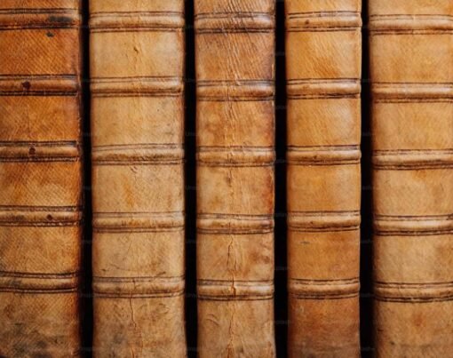 Why Personal Injury and Social Security Disability Advocacy Are So Important