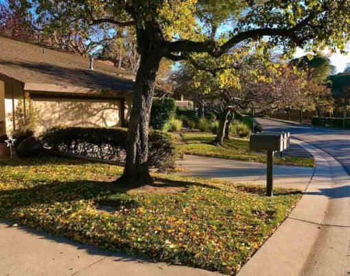 Moving to Menlo Park,CA