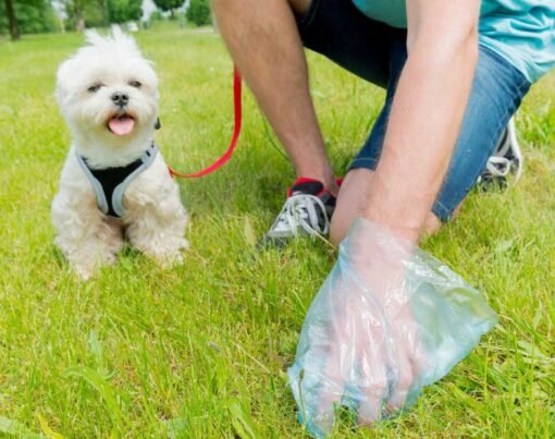 Pooper Scooper Service