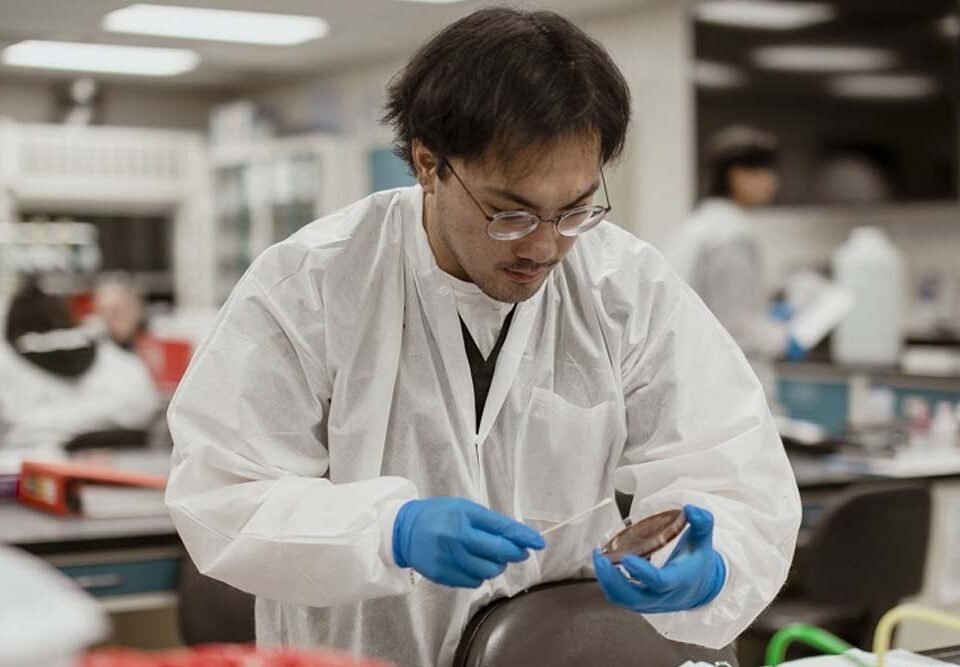 Working in a Medical Laboratoy