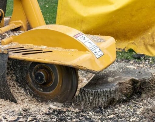 Tree Care Stump Grinding