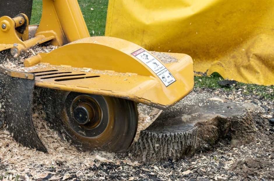 Tree Care Stump Grinding