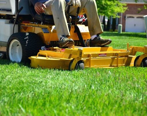 Why Affordable Lawn Care Doesn't Mean Sacrificing Quality