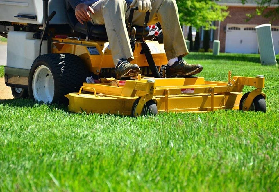Why Affordable Lawn Care Doesn't Mean Sacrificing Quality