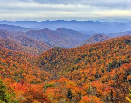 5 Things To Look Forward to in the Madison Community of Tennessee